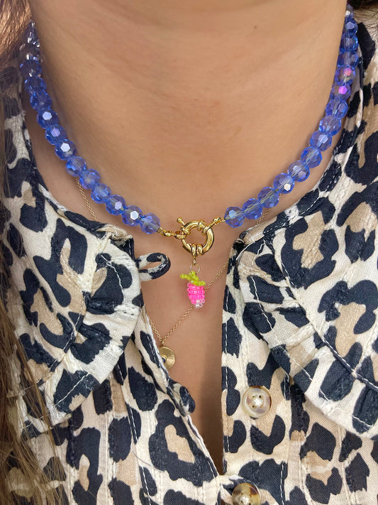 Farmer's Market Shinny Choker