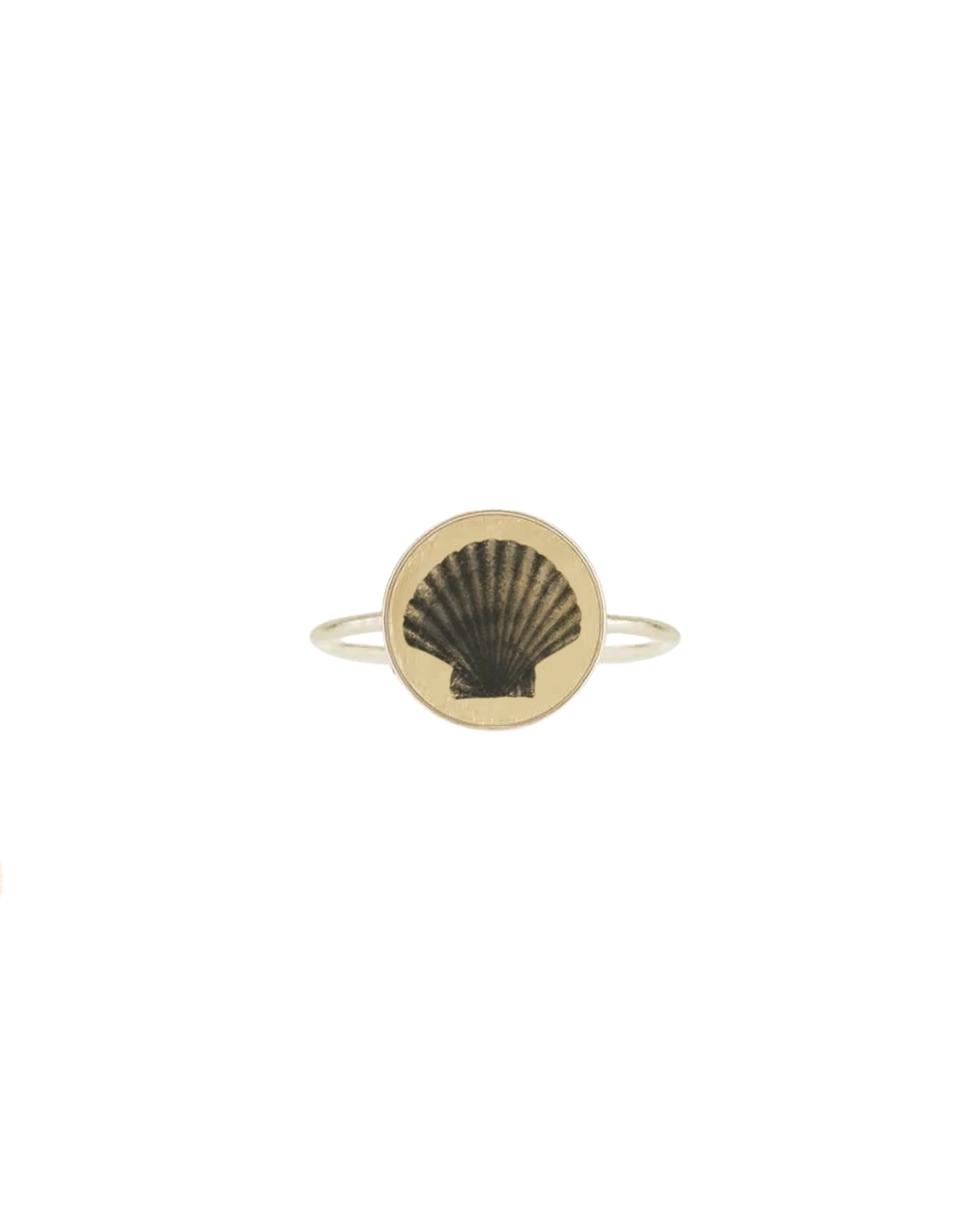 Shell Ring
