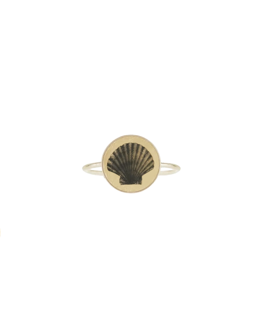 Shell Ring