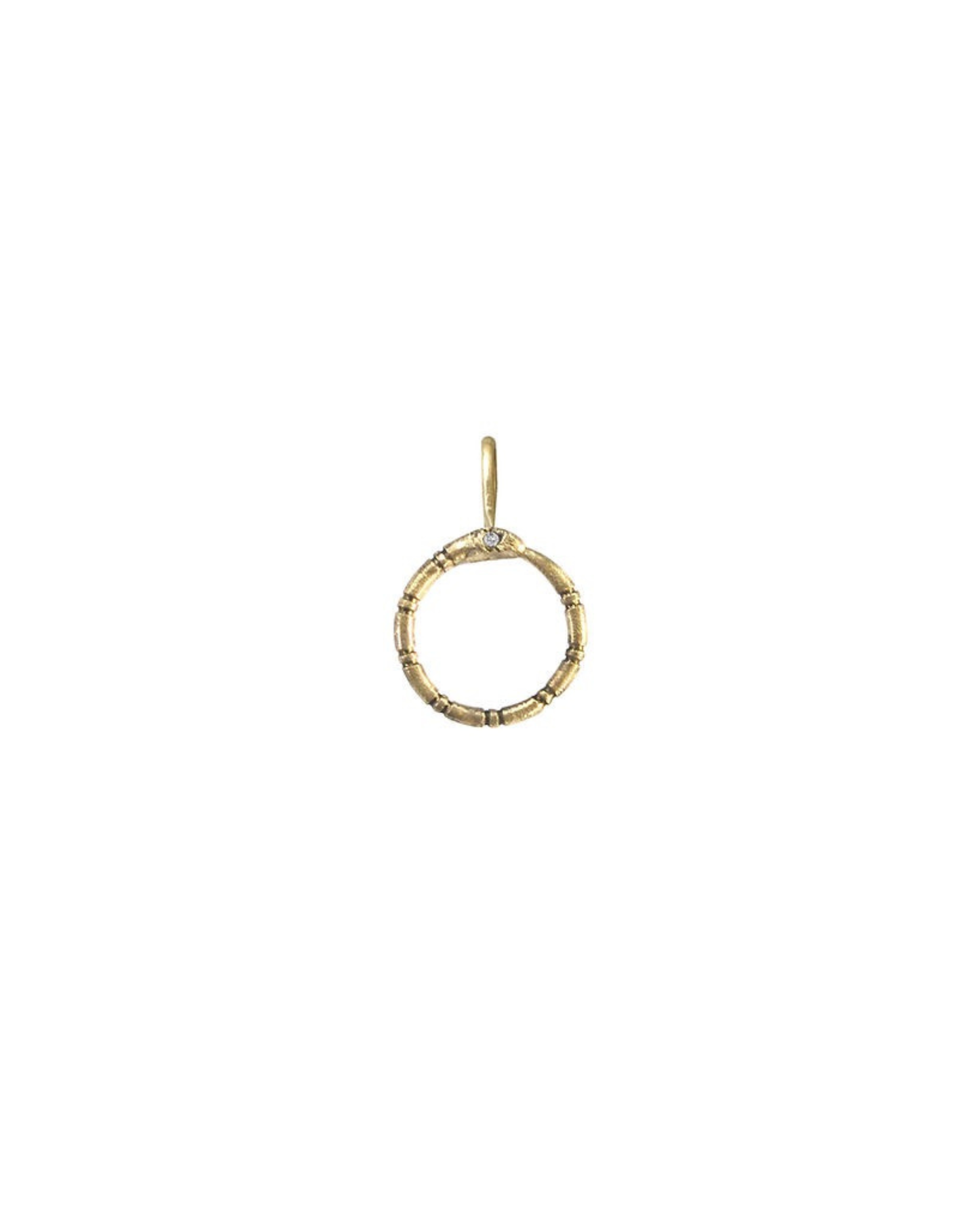 Ouroboro Charm