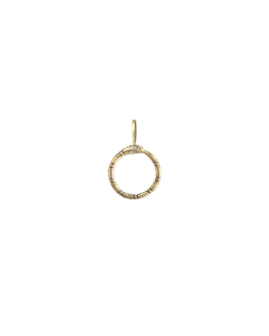 Ouroboro Charm