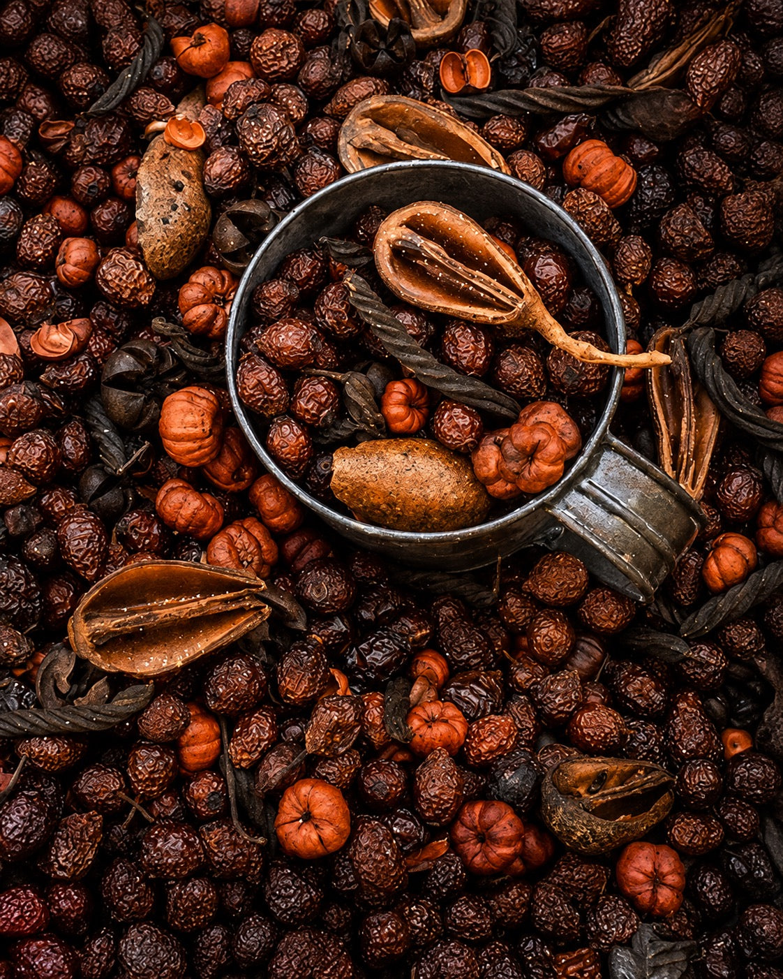 Autumn Splendor Potpourri