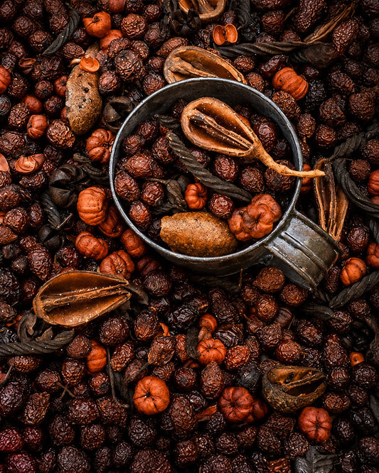 Autumn Splendor Potpourri