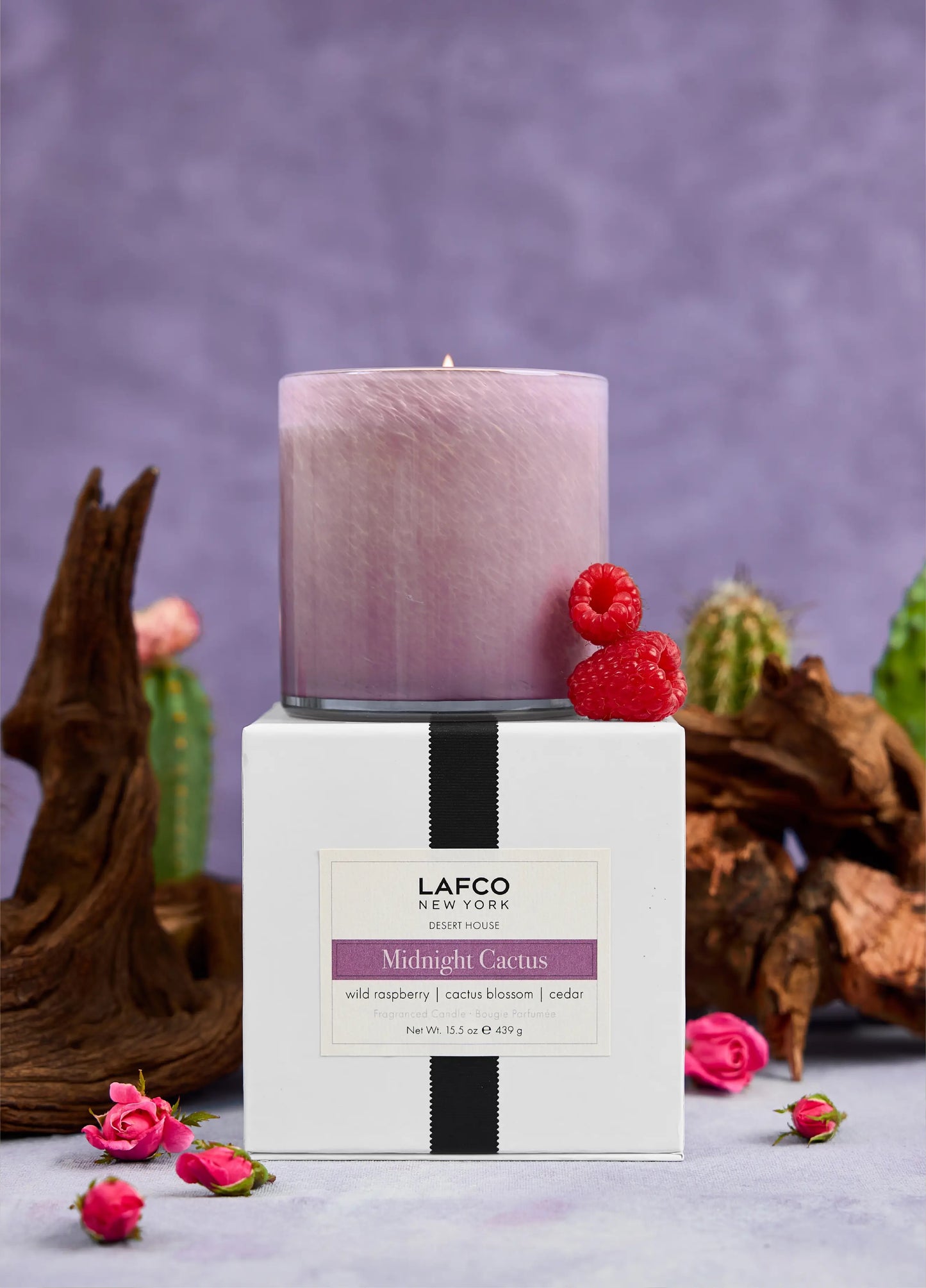 Midnight Cactus Signature Candle